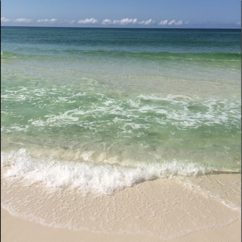 My fur babies and others. Lol. - Picture 11 of 15